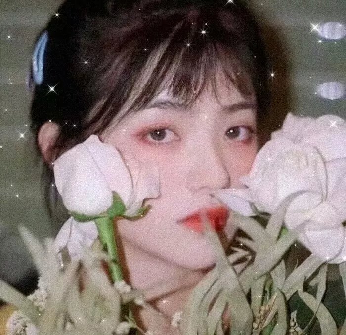 花豹王国