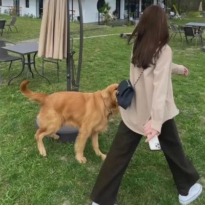 性奇观
